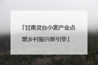 甘肃灵台小麦产业点燃乡村振兴新引擎