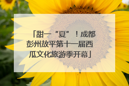 甜一“夏”！成都彭州敖平第十一届西瓜文化旅游季开幕