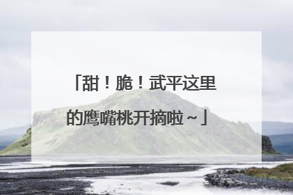 甜！脆！武平这里的鹰嘴桃开摘啦～