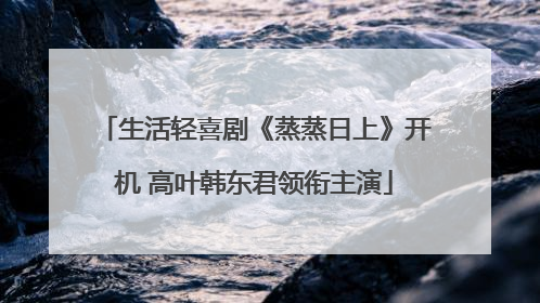生活轻喜剧《蒸蒸日上》开机 高叶韩东君领衔主演