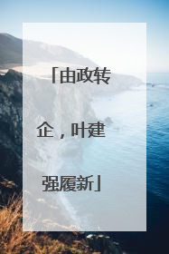 由政转企，叶建强履新
