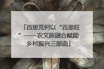 百里荒何以“百里旺”——农文旅融合赋能乡村振兴三部曲