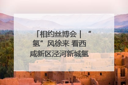 相约丝博会｜“氢”风徐来 看西咸新区泾河新城氢能产业聚链成势