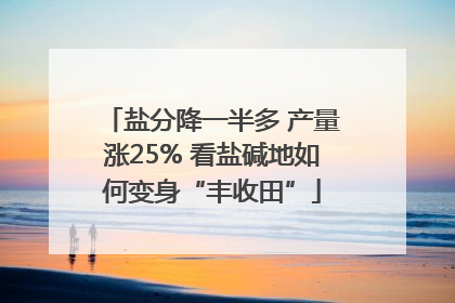 盐分降一半多 产量涨25% 看盐碱地如何变身“丰收田”