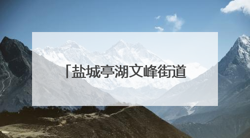盐城亭湖文峰街道：粽香艾草传温情 多彩活动聚民心