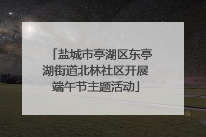 盐城市亭湖区东亭湖街道北林社区开展端午节主题活动