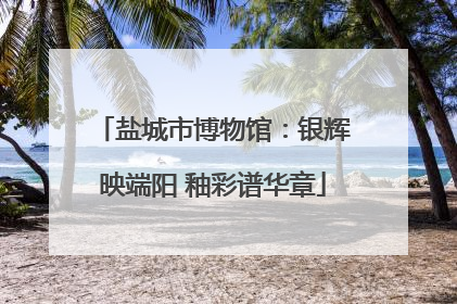 盐城市博物馆：银辉映端阳 釉彩谱华章
