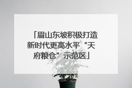 眉山东坡积极打造新时代更高水平“天府粮仓”示范区