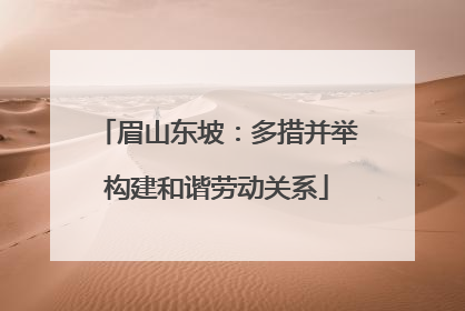 眉山东坡：多措并举构建和谐劳动关系