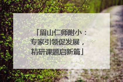 眉山仁师附小:专家引领促发展,精研课题启新篇