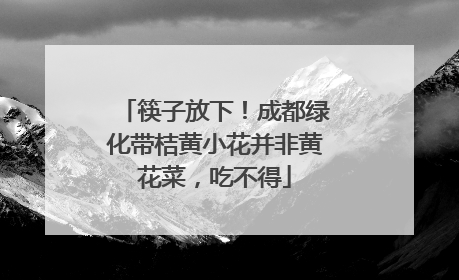 筷子放下！成都绿化带桔黄小花并非黄花菜，吃不得