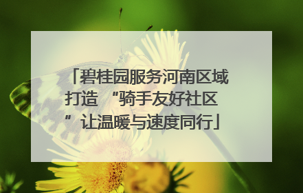 碧桂园服务河南区域打造 “骑手友好社区”让温暖与速度同行