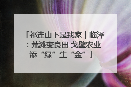 祁连山下是我家｜临泽：荒滩变良田 戈壁农业添“绿”生“金”