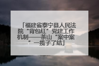 福建省泰宁县人民法院“背包红”党建工作机制——茶山“案中案”一揽子了结