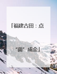 福建古田：点“菌”成金