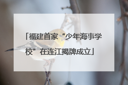 福建首家“少年海事学校”在连江揭牌成立