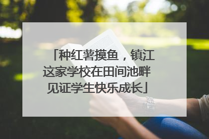 种红薯摸鱼，镇江这家学校在田间池畔见证学生快乐成长