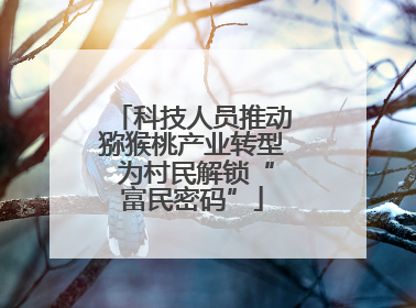 科技人员推动猕猴桃产业转型 为村民解锁“富民密码”