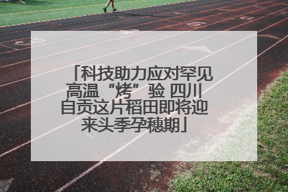 科技助力应对罕见高温“烤”验 四川自贡这片稻田即将迎来头季孕穗期
