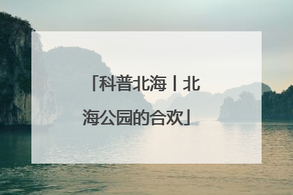 科普北海丨北海公园的合欢