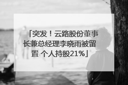 突发！云路股份董事长兼总经理李晓雨被留置 个人持股21%
