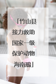 竹山县接力救助国家一级保护动物海南鳽