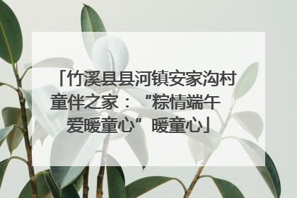 竹溪县县河镇安家沟村童伴之家：“粽情端午 爱暖童心”暖童心