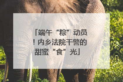 端午“粽”动员！内乡法院干警的甜蜜“食”光
