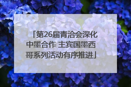 第26届青洽会深化中墨合作 主宾国墨西哥系列活动有序推进