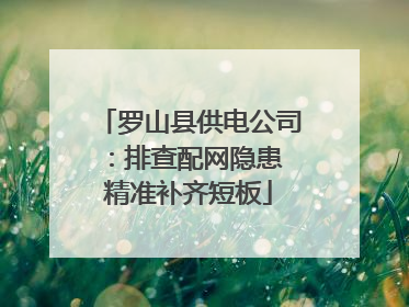 罗山县供电公司：排查配网隐患 精准补齐短板