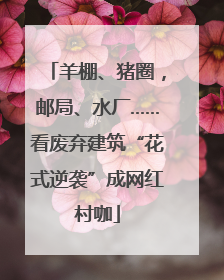 羊棚、猪圈，邮局、水厂……看废弃建筑“花式逆袭”成网红村咖