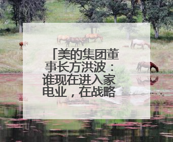 美的集团董事长方洪波：谁现在进入家电业，在战略上已经输了