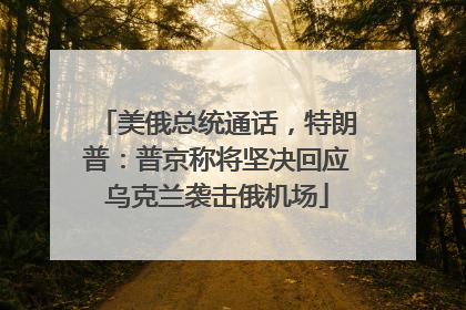 美俄总统通话，特朗普：普京称将坚决回应乌克兰袭击俄机场