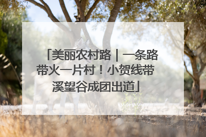 美丽农村路｜一条路带火一片村！小贺线带溪望谷成团出道