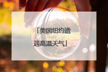 美国纽约遭遇高温天气