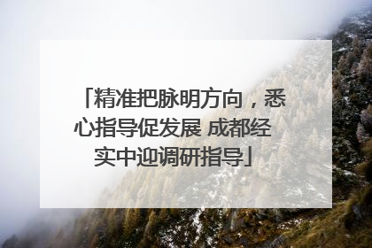 精准把脉明方向，悉心指导促发展 成都经实中迎调研指导
