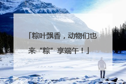 粽叶飘香，动物们也来“粽”享端午！