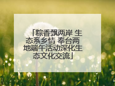 粽香飘两岸 生态系乡情 奉台两地端午活动深化生态文化交流