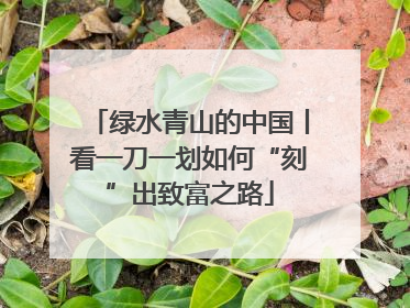 绿水青山的中国丨看一刀一划如何“刻”出致富之路