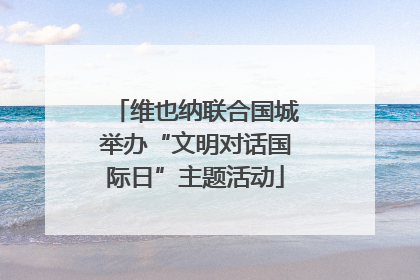 维也纳联合国城举办“文明对话国际日”主题活动