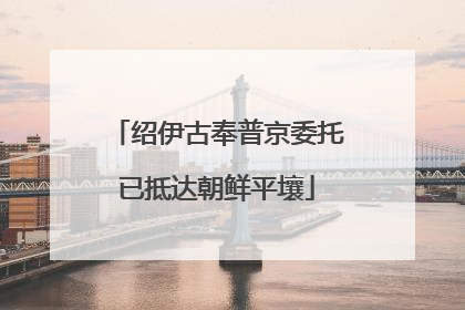 绍伊古奉普京委托已抵达朝鲜平壤