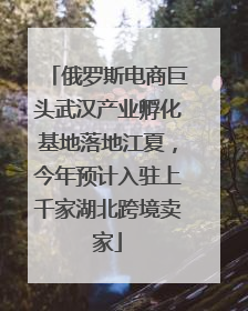 俄罗斯电商巨头武汉产业孵化基地落地江夏，今年预计入驻上千家湖北跨境卖家