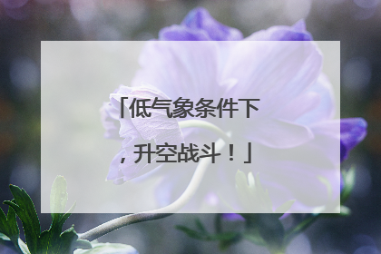 低气象条件下，升空战斗！