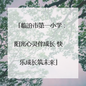 临汾市第一小学：阳光心灵伴成长 快乐成长筑未来