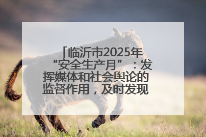 临沂市2025年“安全生产月”：发挥媒体和社会舆论的监督作用，及时发现并消除安全隐患