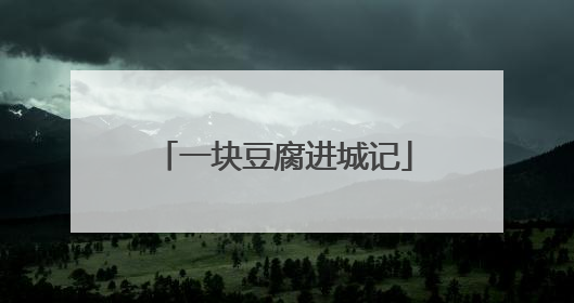 一块豆腐进城记