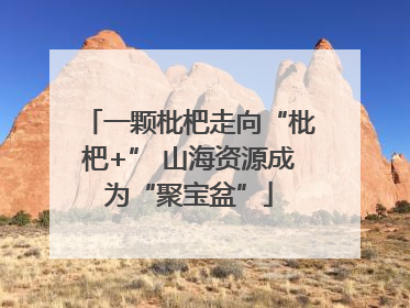 一颗枇杷走向“枇杷+” 山海资源成为“聚宝盆”