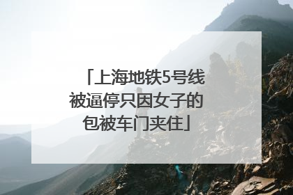上海地铁5号线被逼停只因女子的包被车门夹住