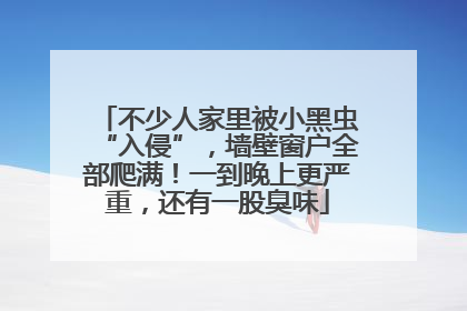 不少人家里被小黑虫“入侵”，墙壁窗户全部爬满！一到晚上更严重，还有一股臭味