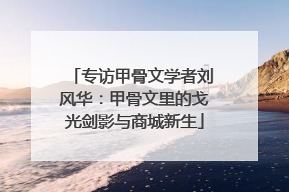 专访甲骨文学者刘风华：甲骨文里的戈光剑影与商城新生